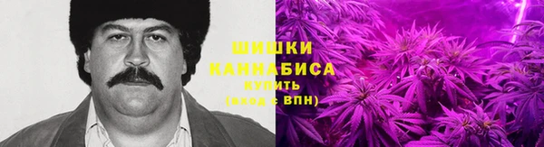 винт Аркадак