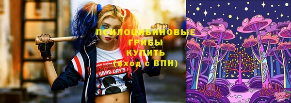 2c-b Арсеньев