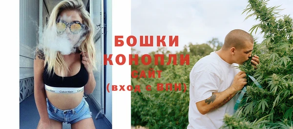 винт Аркадак