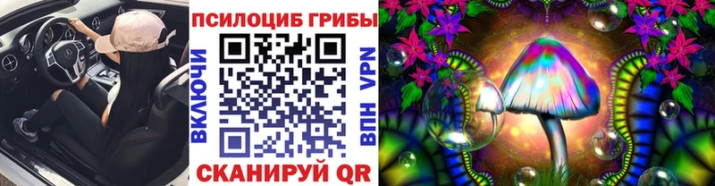 Псилоцибиновые грибы Psilocybe Болохово