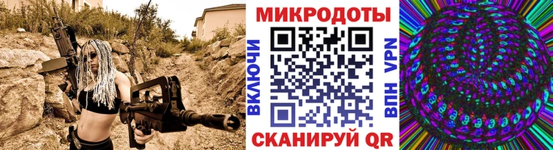 Псилоцибиновые грибы прущие грибы  Болохово 
